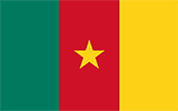 Abbild der Flagge von Kamerun