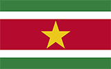 Abbild der Flagge von Suriname