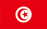 Abbild der Flagge von Tunesien